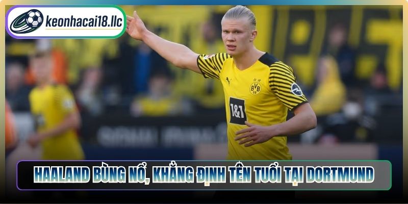 Haaland bùng nổ, khẳng định tên tuổi tại Dortmund