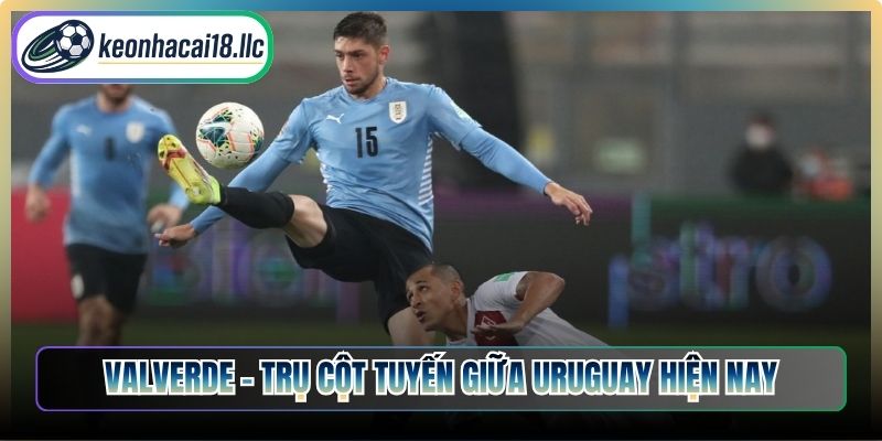 Valverde – Trụ cột tuyến giữa Uruguay hiện nay