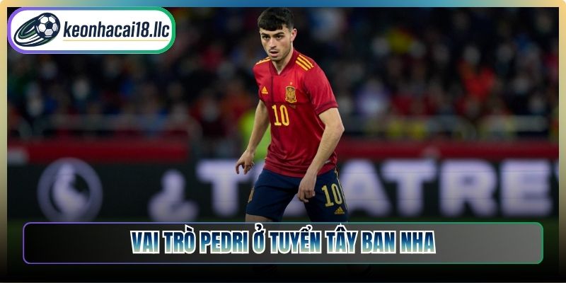 Vai trò Pedri ở tuyển Tây Ban Nha